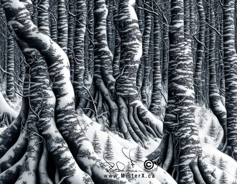 A black and white image of a busy winter forest scene made mostly of detailed tree trunks and roots.